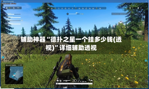 辅助神器“德扑之星一个挂多少钱(透视)	”详细辅助透视-第1张图片