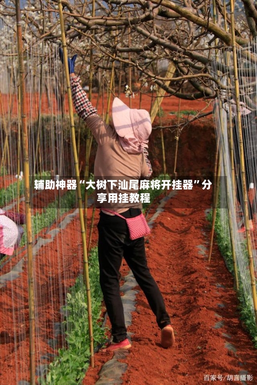 辅助神器“大树下汕尾麻将开挂器”分享用挂教程-第1张图片