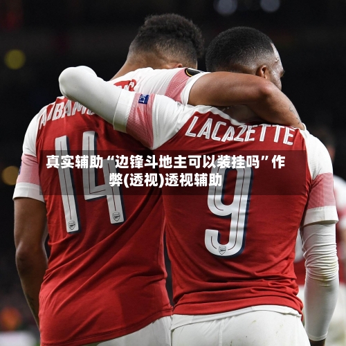 真实辅助“边锋斗地主可以装挂吗	”作弊(透视)透视辅助-第1张图片
