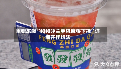 重磅来袭“和和呼兰手机麻将下挂”详细开挂玩法-第1张图片