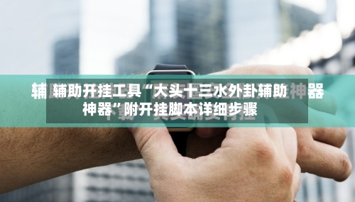 辅助开挂工具“大头十三水外卦辅助神器”附开挂脚本详细步骤-第1张图片
