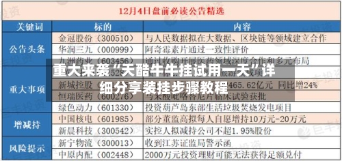 重大来袭“天酷牛牛挂试用一天”详细分享装挂步骤教程-第1张图片