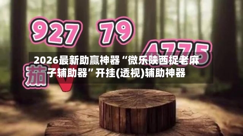 2026最新助赢神器“微乐陕西捉老麻子辅助器”开挂(透视)辅助神器-第1张图片