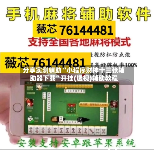 分享实测辅助“小程序财神十三张辅助器下载”开挂(透视)辅助教程-第1张图片