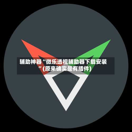 辅助神器“微乐透视辅助器下载安装	”(原来确实是有插件)-第1张图片