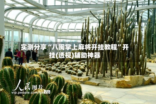 实测分享“八闽掌上麻将开挂教程”开挂(透视)辅助神器-第1张图片