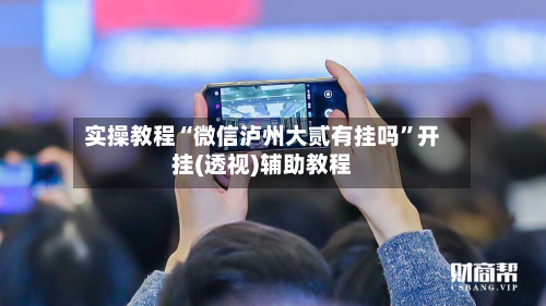 实操教程“微信泸州大贰有挂吗”开挂(透视)辅助教程-第1张图片