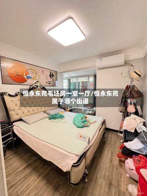 恒永东苑毛坯房一室一厅/恒永东苑属于哪个街道-第1张图片