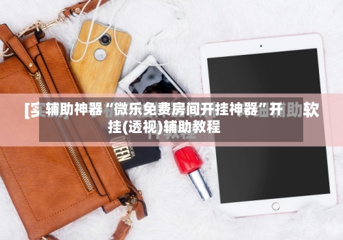 辅助神器“微乐免费房间开挂神器	”开挂(透视)辅助教程-第1张图片