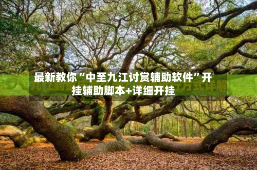 最新教你“中至九江讨赏辅助软件”开挂辅助脚本+详细开挂-第1张图片