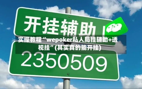 实操教程“wepoker私人局挂辅助+透视挂	”(其实真的能开挂)-第1张图片