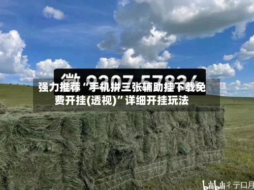 强力推荐“手机拼三张辅助挂下载免费开挂(透视)”详细开挂玩法-第1张图片
