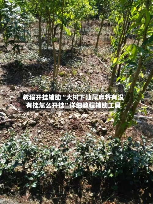 教程开挂辅助“大树下汕尾麻将有没有挂怎么开挂	”详细教程辅助工具-第1张图片
