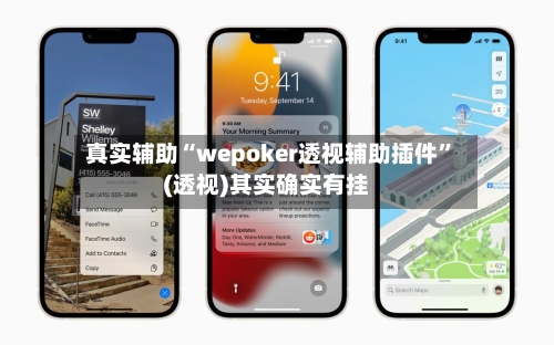 真实辅助“wepoker透视辅助插件”(透视)其实确实有挂-第1张图片
