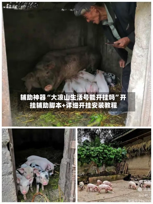 辅助神器“大凉山生活号能开挂吗	”开挂辅助脚本+详细开挂安装教程-第1张图片