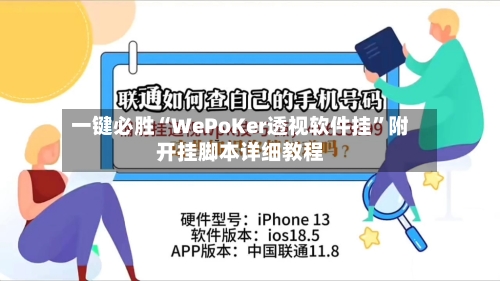 一键必胜“WePoKer透视软件挂	”附开挂脚本详细教程-第1张图片