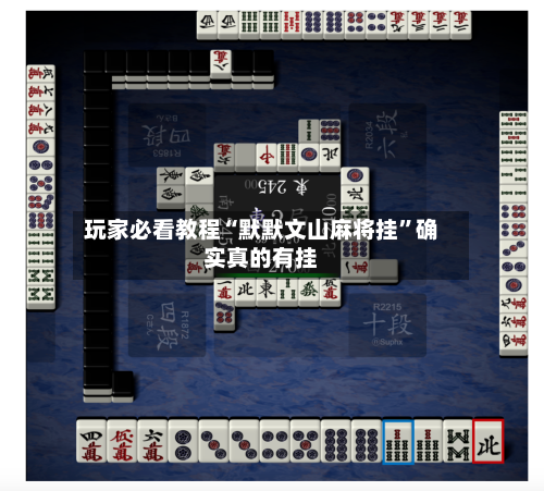 玩家必看教程“默默文山麻将挂”确实真的有挂-第1张图片