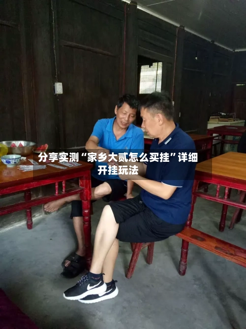 分享实测“家乡大贰怎么买挂”详细开挂玩法-第1张图片