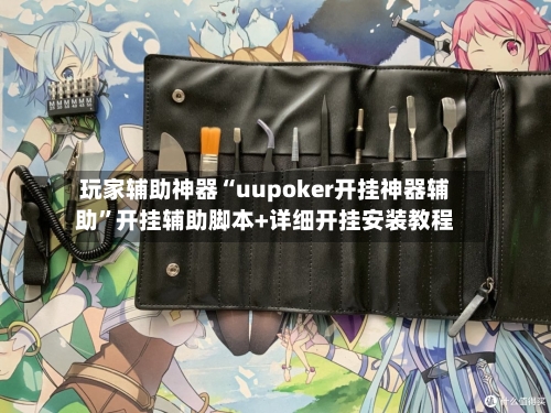 玩家辅助神器“uupoker开挂神器辅助	”开挂辅助脚本+详细开挂安装教程-第1张图片