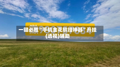 一键必胜“手机金花软挂神器	”开挂(透视)辅助-第1张图片