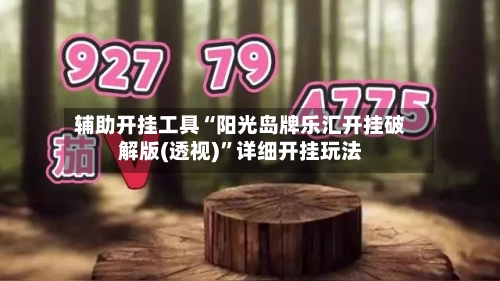 辅助开挂工具“阳光岛牌乐汇开挂破解版(透视)”详细开挂玩法-第1张图片