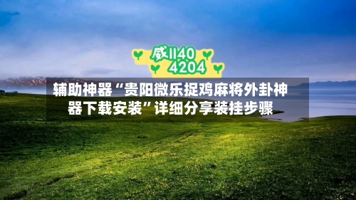 辅助神器“贵阳微乐捉鸡麻将外卦神器下载安装”详细分享装挂步骤-第1张图片