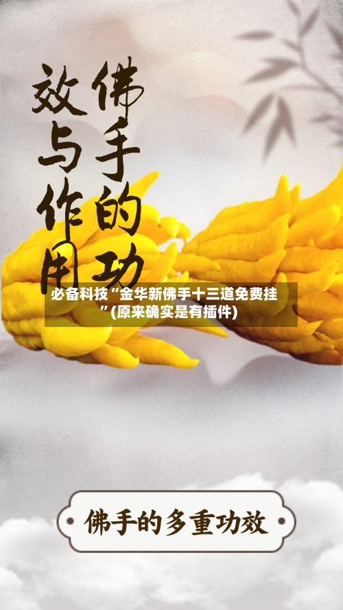必备科技“金华新佛手十三道免费挂	”(原来确实是有插件)-第1张图片