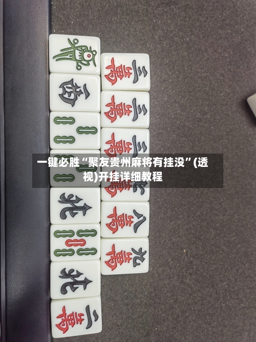 一键必胜“聚友贵州麻将有挂没”(透视)开挂详细教程-第1张图片
