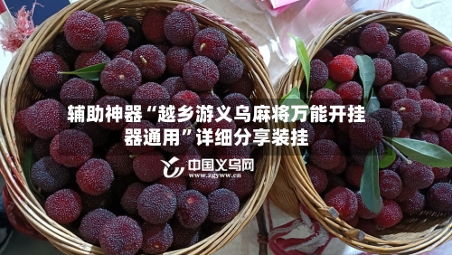 辅助神器“越乡游义乌麻将万能开挂器通用”详细分享装挂-第1张图片