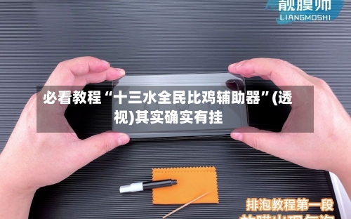 必看教程“十三水全民比鸡辅助器	”(透视)其实确实有挂-第1张图片