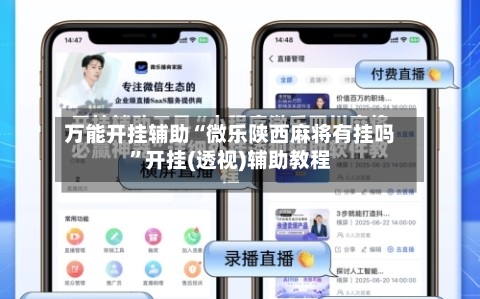 万能开挂辅助“微乐陕西麻将有挂吗”开挂(透视)辅助教程-第1张图片