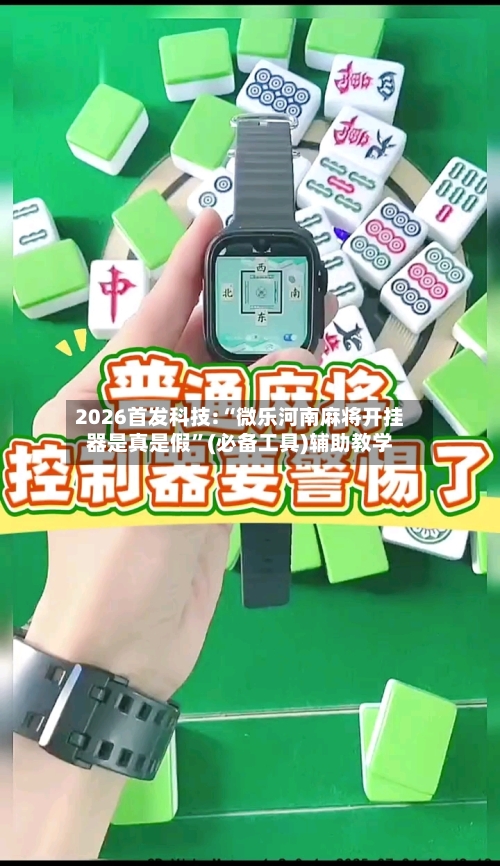 2026首发科技:“微乐河南麻将开挂器是真是假”(必备工具)辅助教学-第1张图片