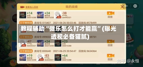 教程辅助“微乐怎么打才能赢	”(曝光透视必备猫腻)-第1张图片