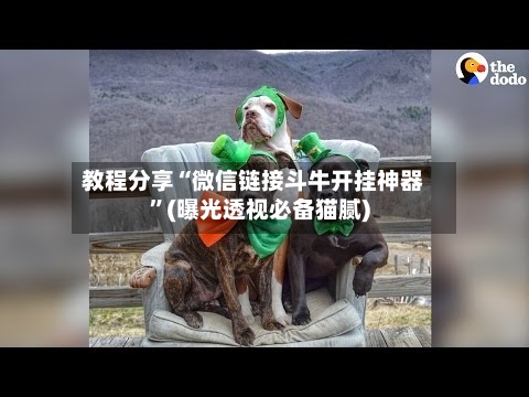 教程分享“微信链接斗牛开挂神器”(曝光透视必备猫腻)-第1张图片