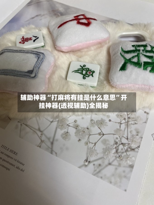 辅助神器“打麻将有挂是什么意思”开挂神器{透视辅助}全揭秘-第1张图片