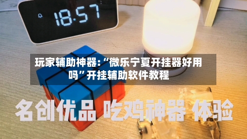 玩家辅助神器:“微乐宁夏开挂器好用吗	”开挂辅助软件教程-第1张图片