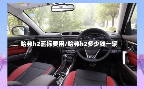 哈弗h2蓝标费用/哈弗h2多少钱一辆-第1张图片