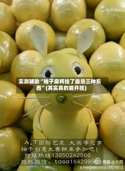实测辅助“柚子麻将挂了最忌三种东西”(其实真的能开挂)-第1张图片