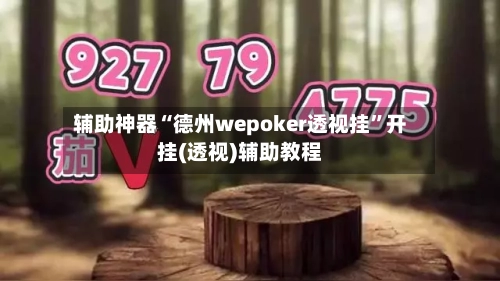 辅助神器“德州wepoker透视挂”开挂(透视)辅助教程-第1张图片
