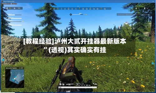 [教程经验]泸州大贰开挂器最新版本”(透视)其实确实有挂-第1张图片