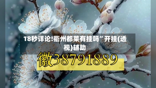 18秒详论!衢州都莱有挂吗”开挂(透视)辅助-第1张图片