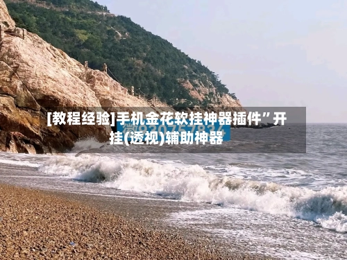 [教程经验]手机金花软挂神器插件”开挂(透视)辅助神器-第1张图片