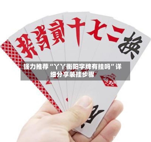 强力推荐“丫丫衡阳字牌有挂吗	”详细分享装挂步骤-第1张图片