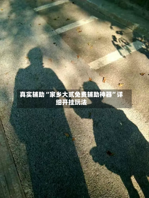 真实辅助“家乡大贰免费辅助神器”详细开挂玩法-第1张图片