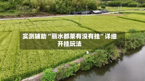 实测辅助“丽水都莱有没有挂	”详细开挂玩法-第1张图片