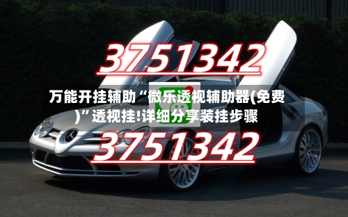 万能开挂辅助“微乐透视辅助器(免费)”透视挂!详细分享装挂步骤-第1张图片