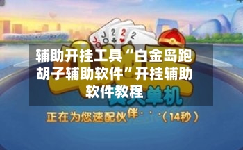 辅助开挂工具“白金岛跑胡子辅助软件”开挂辅助软件教程-第1张图片