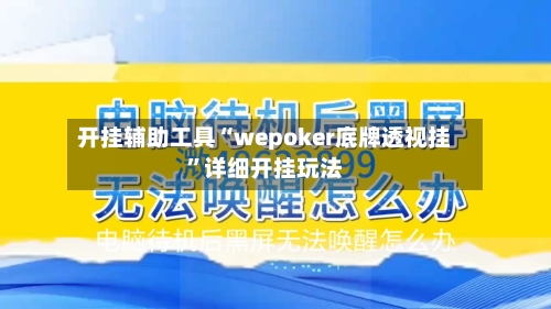开挂辅助工具“wepoker底牌透视挂”详细开挂玩法-第1张图片