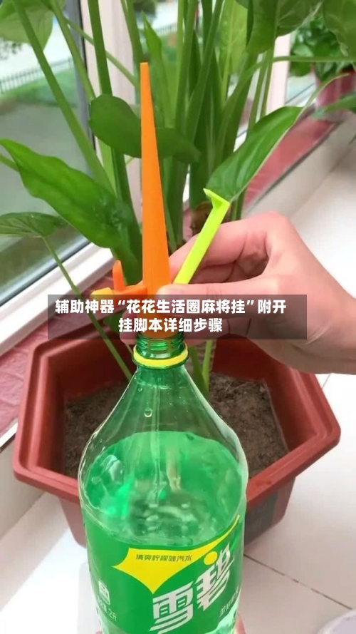 辅助神器“花花生活圈麻将挂”附开挂脚本详细步骤-第1张图片