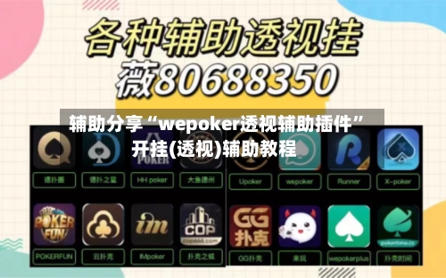辅助分享“wepoker透视辅助插件”开挂(透视)辅助教程-第1张图片